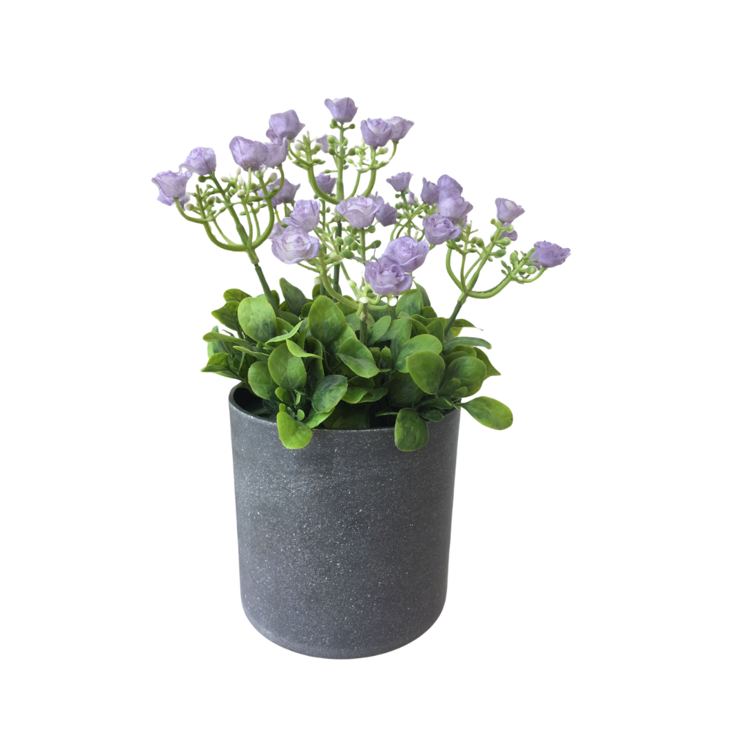 PLANTA DECORATIVA MORADA