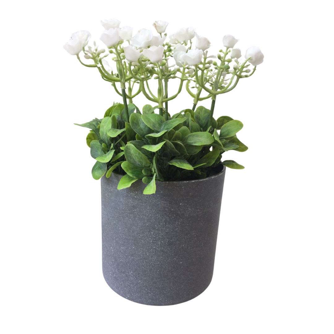 PLANTA DECORATIVA BLANCA