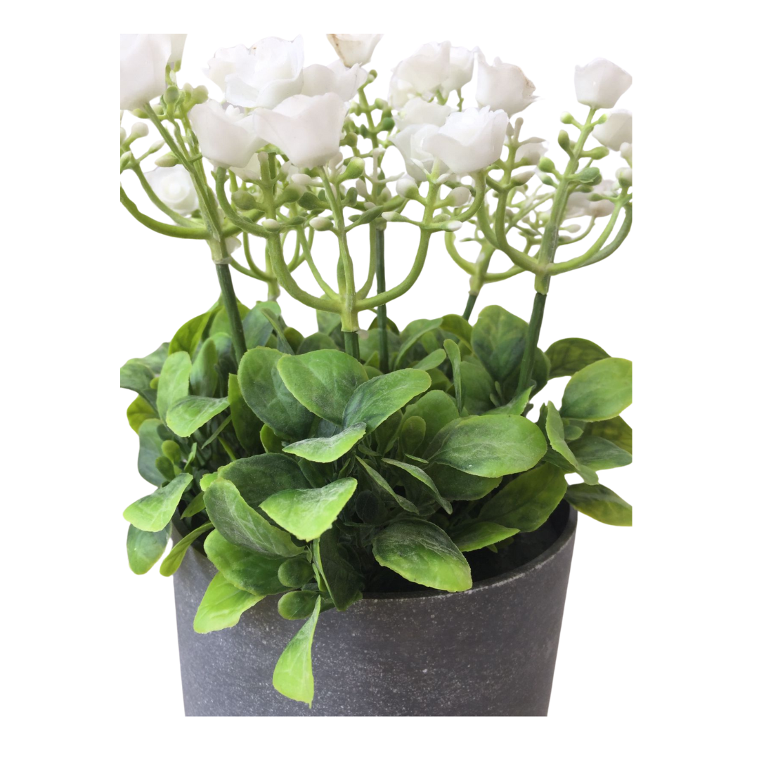 PLANTA DECORATIVA BLANCA