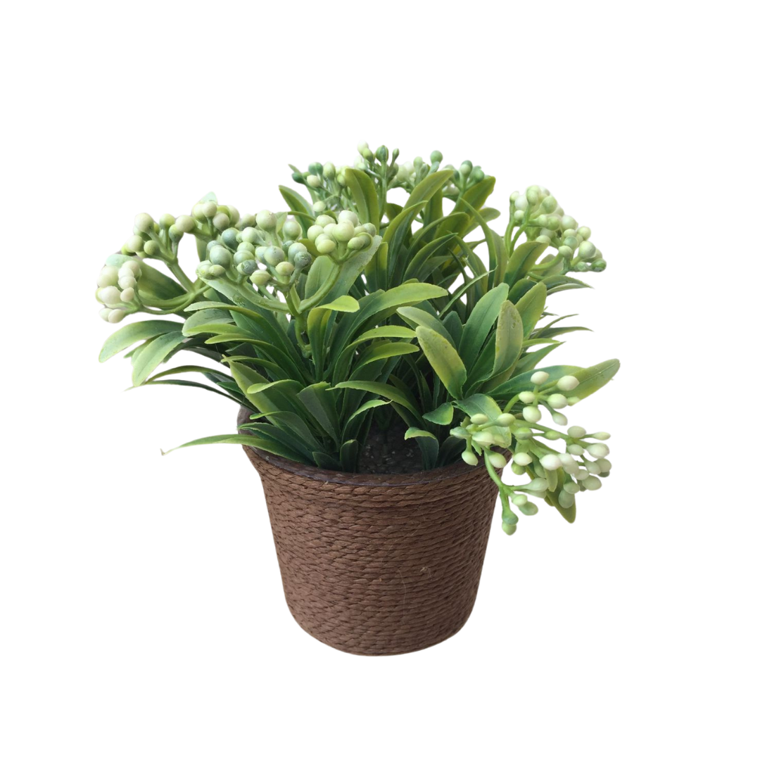PLANTA DECORATIVA BLANCA