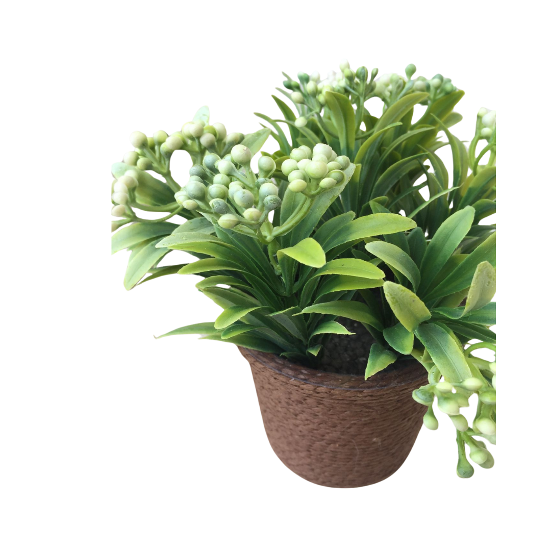 PLANTA DECORATIVA BLANCA