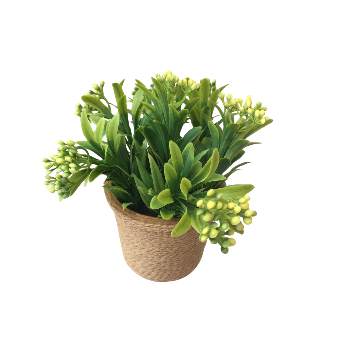 PLANTA DECORATIVA AMARILLA