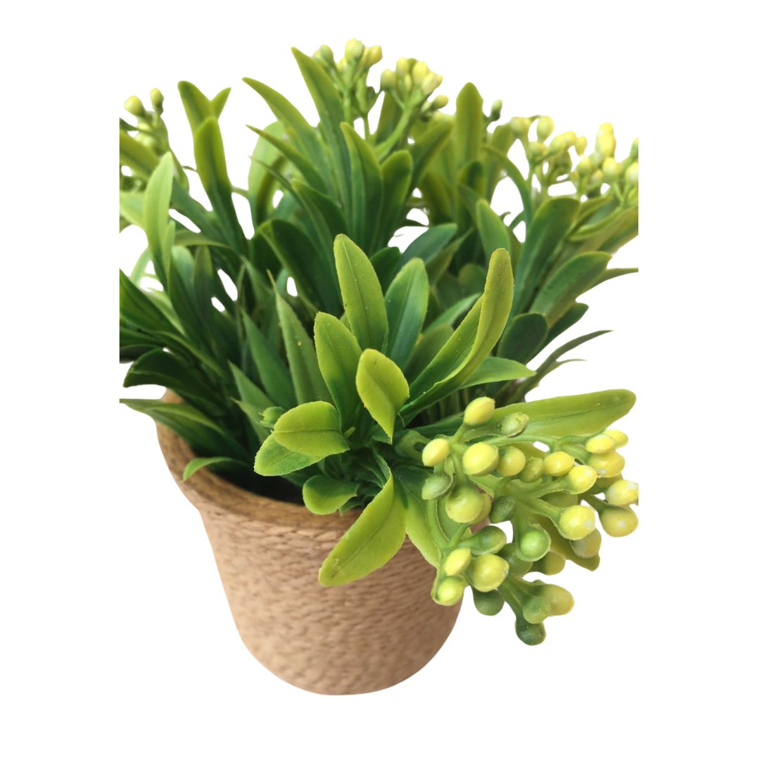 PLANTA DECORATIVA AMARILLA