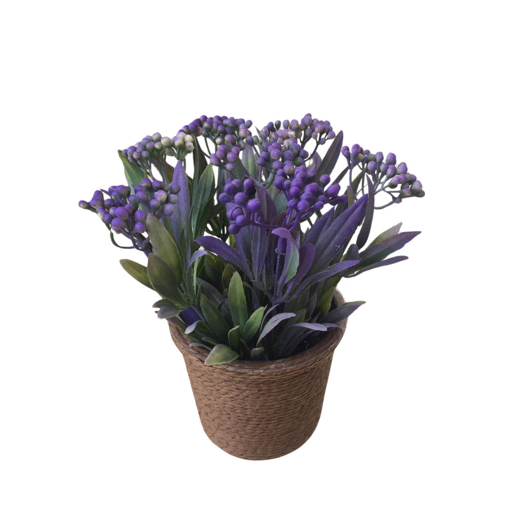 PLANTA DECORATIVA MORADA