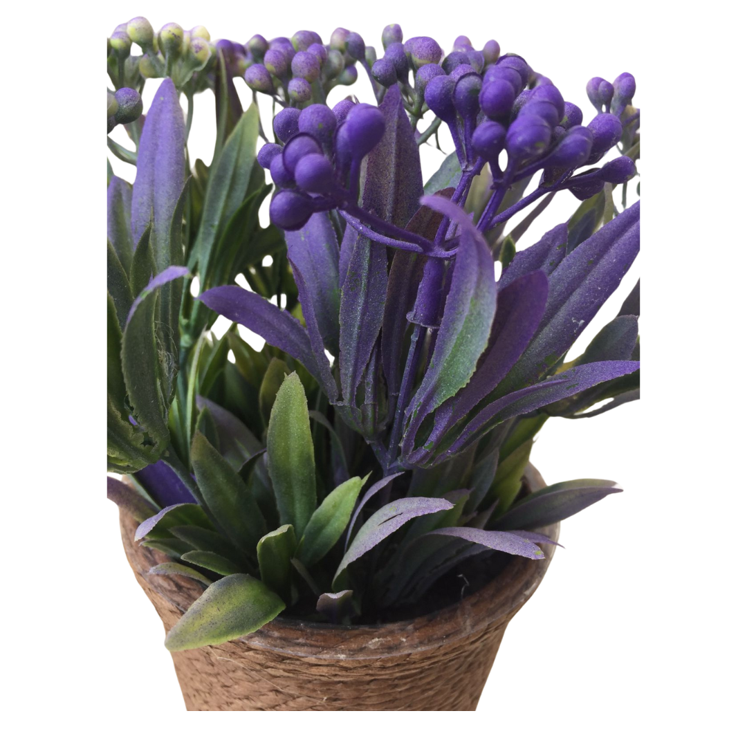 PLANTA DECORATIVA MORADA