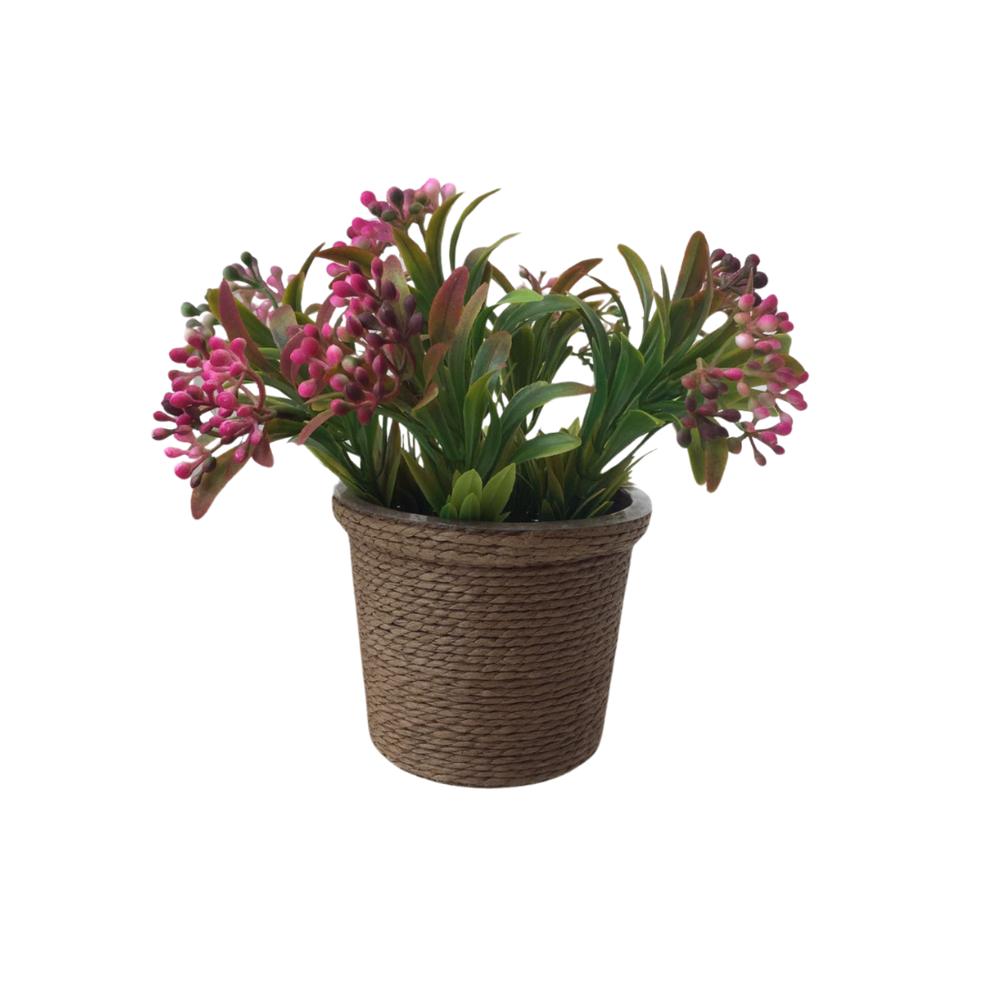 PLANTA DECORATIVA ROSADA