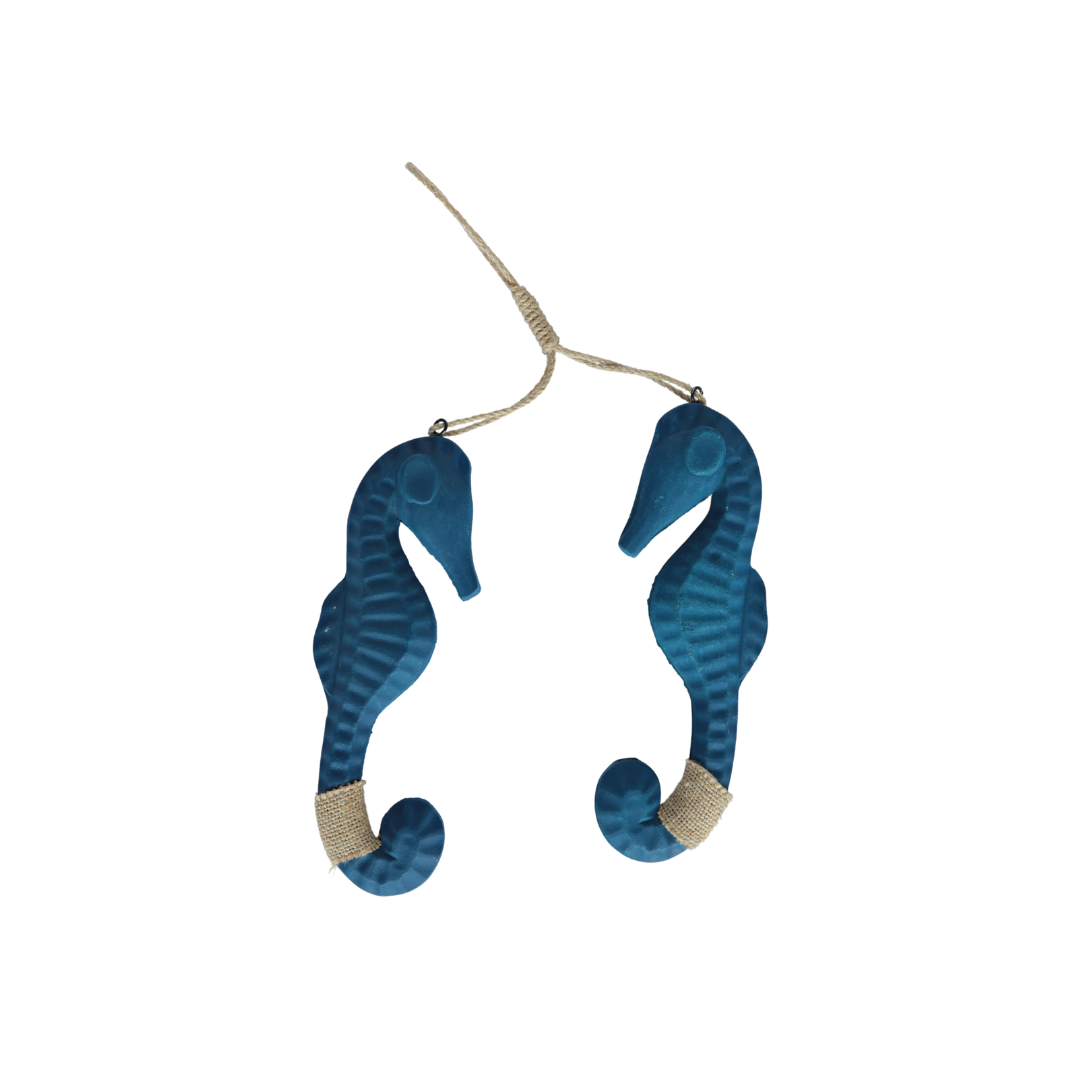 SET CABALLITO DE MAR