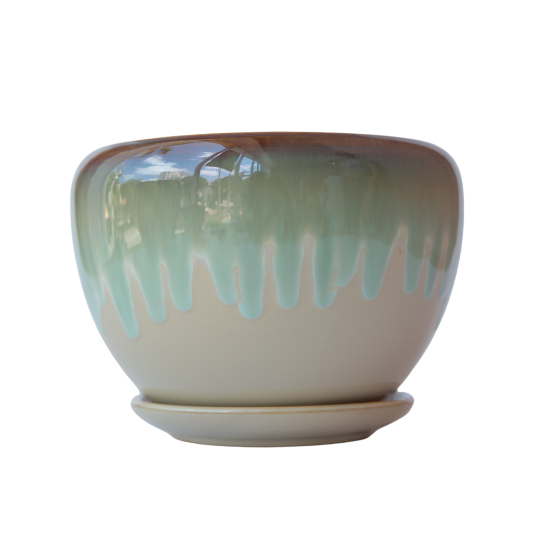BOWL BEIGE VERDE