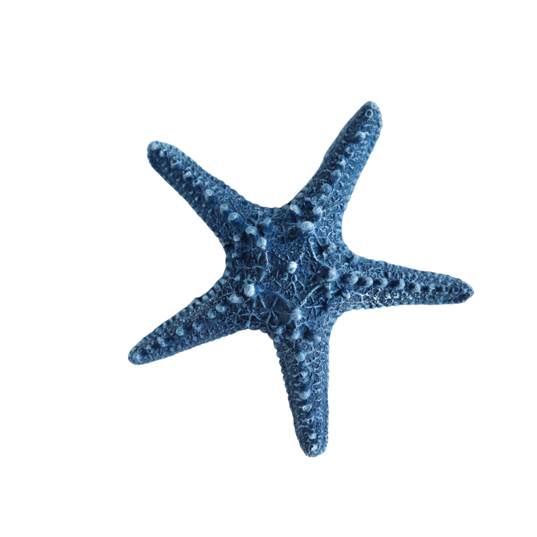 ESTRELLA MARINA DECORATIVA