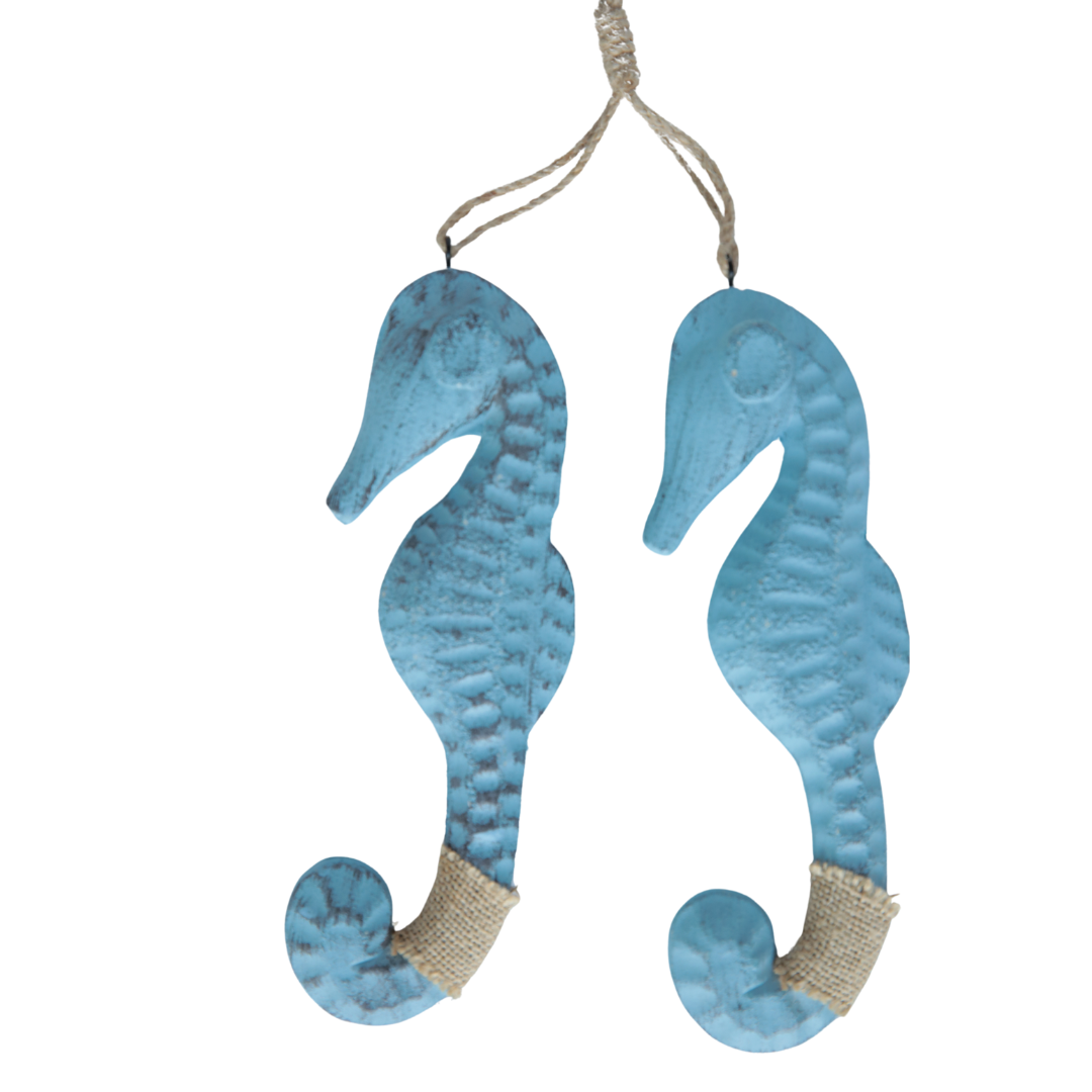 SET CABALLITO DE MAR