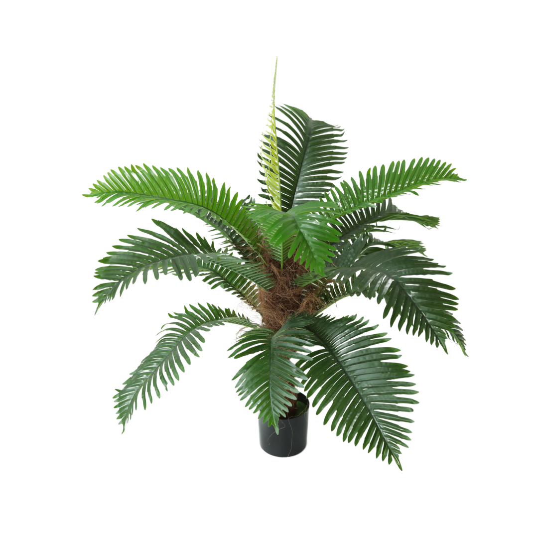 PLANTA DECORATIVA CON POTERA