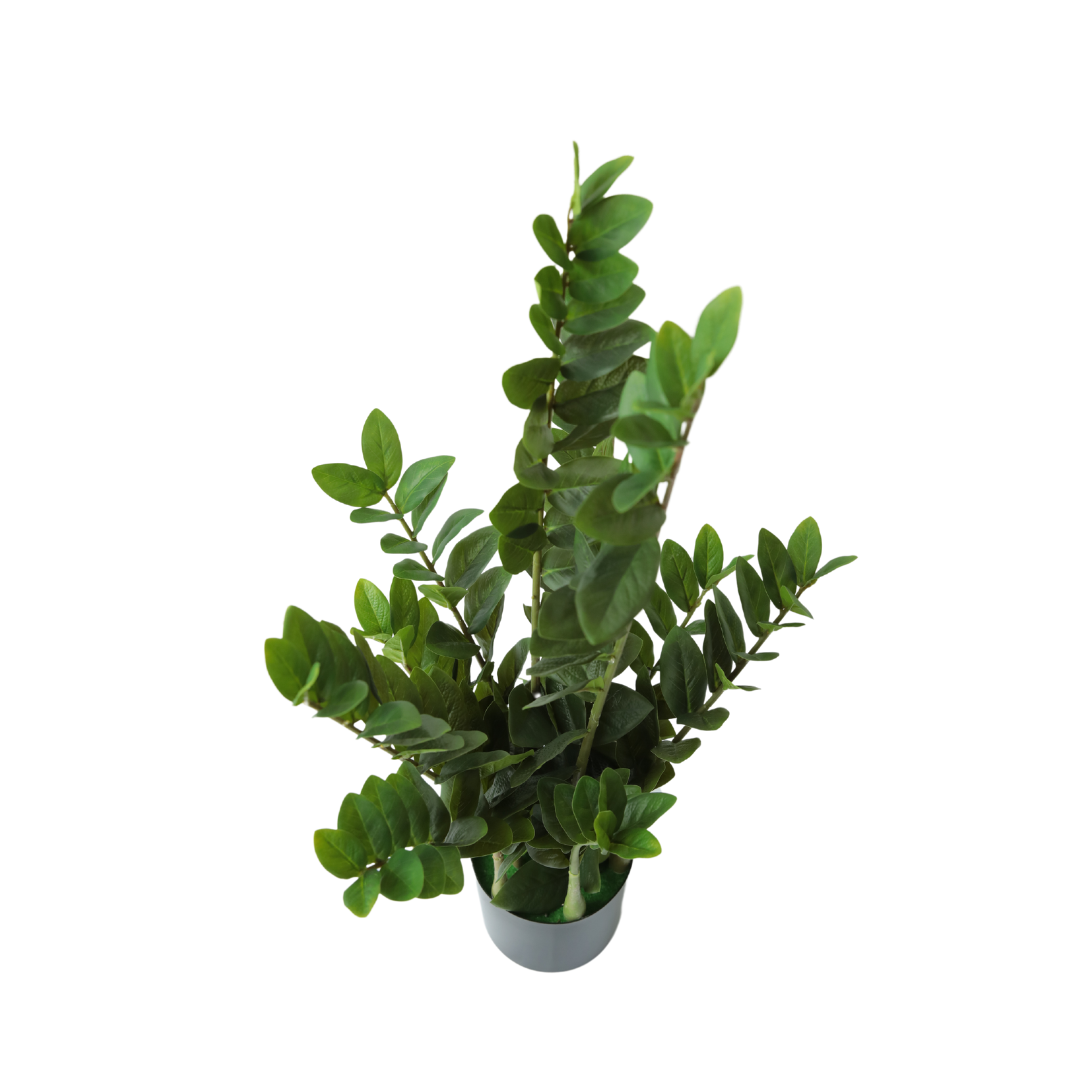 PLANTA DECORATIVA CON POTERA