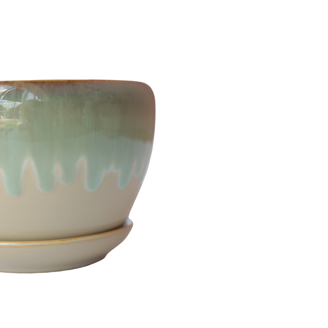 BOWL BEIGE VERDE